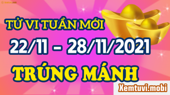 Tử vi tuần mới của 12 con giáp từ ngày 22/11 đến 28/11/2021