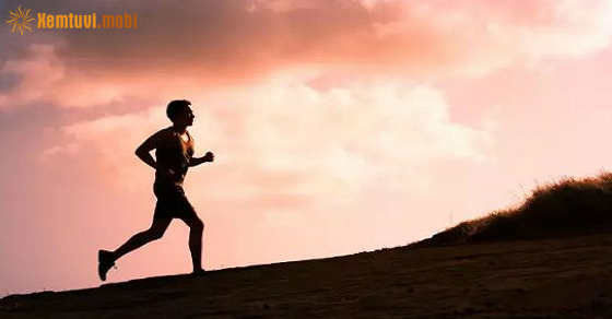 Tử vi ngày 1/12/2021 của 12 cung hoàng đạo Tử vi ngày 1/12/2021 của 12 cung hoàng đạo