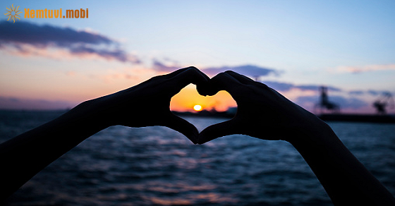 Tử vi thứ 6 của bạn ngày 5-112021 Tử vi thứ 6 của bạn ngày 5-112021