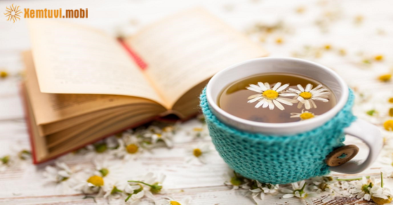 Xem bói ngày 10-12-2021 thứ 6 Xem bói ngày 10-12-2021 thứ 6