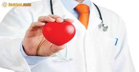 Xem bói 12 con giáp ngày 19.12.2021 chủ nhật Xem bói 12 con giáp ngày 19.12.2021 chủ nhật