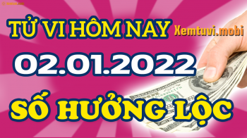 Tử vi ngày 2/1/2022 của 12 con giáp chủ nhật: Mão tự tin, Dậu buồn phiền