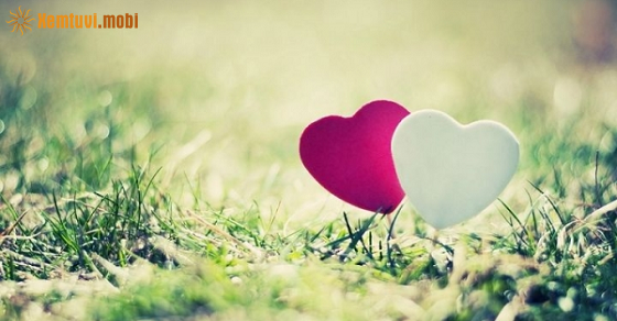 Xem bói 12 con giáp ngày 2.1.2022 chủ nhật Xem bói 12 con giáp ngày 2.1.2022 chủ nhật