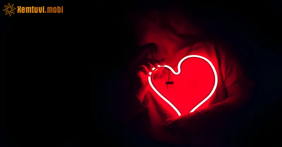 Xem bói 12 con giáp ngày 31.12.2021 thứ 6 Xem bói 12 con giáp ngày 31.12.2021 thứ 6