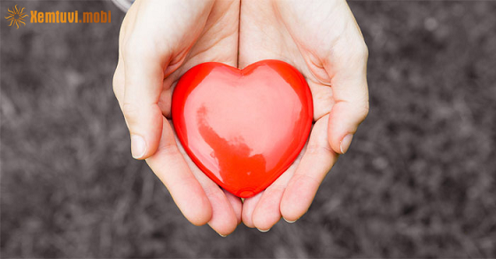 Xem bói của 12 con giáp từ ngày 27/12 đến 2/1/2022 Xem bói của 12 con giáp từ ngày 27/12 đến 2/1/2022