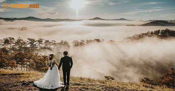    Tử vi tuần mới 12 cung hoàng đạo từ 27/12 đến 2/1/2022