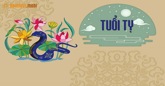 Xem tử vi năm 2022 của tuổi Tỵ