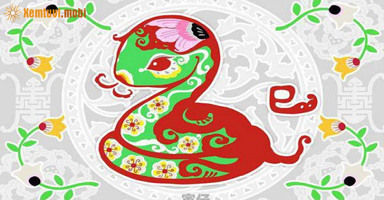 Bói tử vi tuổi Tỵ nữ mạng năm 2022