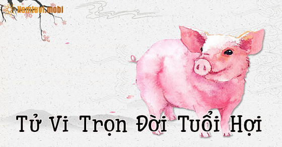  Bói tử vi tuổi Hợi năm 2021 chính xác
