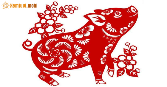  Xem tử vi 2022 tuổi Hợi theo từng năm sinh