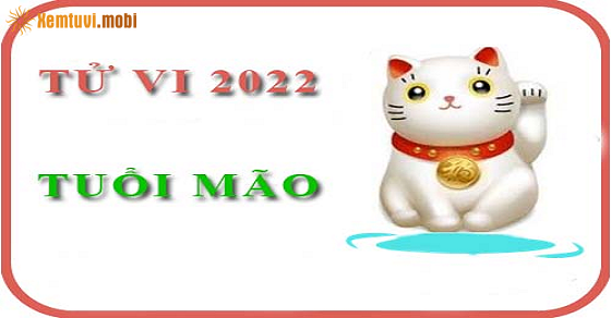  Xem tử vi 2022 cho người tuổi Mão