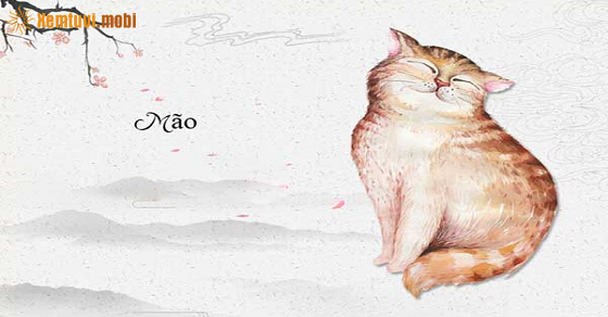 Bói tử vi tuổi Mão năm Canh Tý 2022