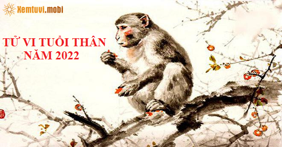 Xem bói năm 2022 tuổi Thân Xem bói năm 2022 tuổi Thân