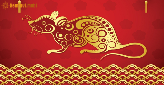 Xem tử vi 2022 tuổi Tý nam mạng Xem tử vi 2022 tuổi Tý nam mạng