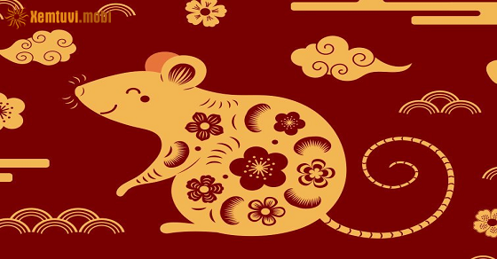 Bói tử vi tuổi Tý nữ mạng năm 2022 Bói tử vi tuổi Tý nữ mạng năm 2022