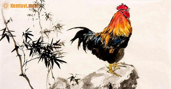 Bói tử vi tuổi Dậu năm 2022 chính xác Bói tử vi tuổi Dậu năm 2022 chính xác