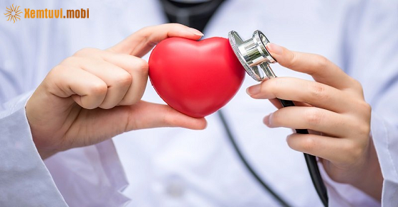 Xem bói 12 con giáp ngày 13.1.2022 thứ 5 Xem bói 12 con giáp ngày 13.1.2022 thứ 5