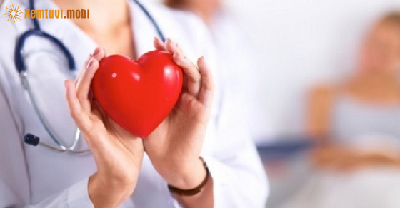 Xem bói 12 con giáp ngày 18.1.2022 thứ 3 Xem bói 12 con giáp ngày 18.1.2022 thứ 3