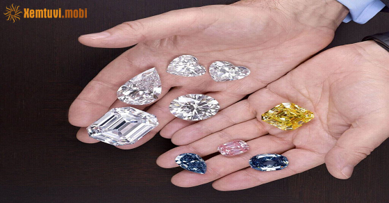 Chủ nhật của 12 con giáp ngày 30/1/2022 Chủ nhật của 12 con giáp ngày 30/1/2022