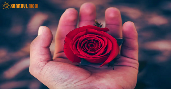 Xem bói ngày 4-2-2022 thứ 6 Xem bói ngày 4-2-2022 thứ 6