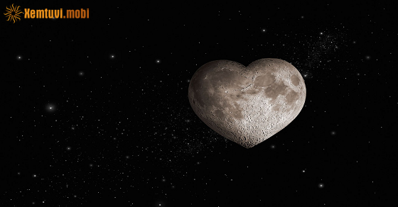 Xem bói 12 con giáp ngày 8.3.2022 thứ 3 Xem bói 12 con giáp ngày 8.3.2022 thứ 3