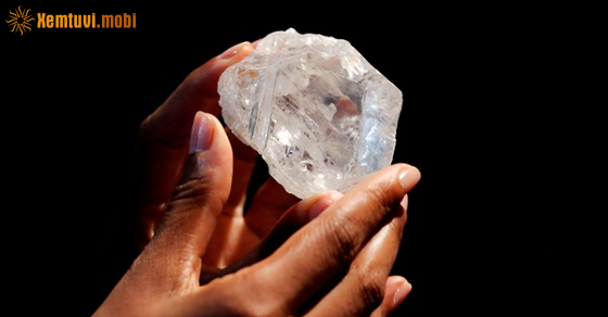 Tuần mới từ 21/2 đến 27/2/2022 của 12 con giáp Tuần mới từ 21/2 đến 27/2/2022 của 12 con giáp