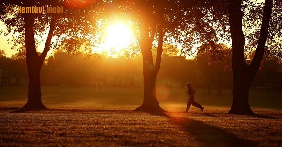 Tử vi tuần này của 12 cung hoàng đạo từ 4/4 đến 10/4/2022 Tử vi tuần này của 12 cung hoàng đạo từ 4/4 đến 10/4/2022