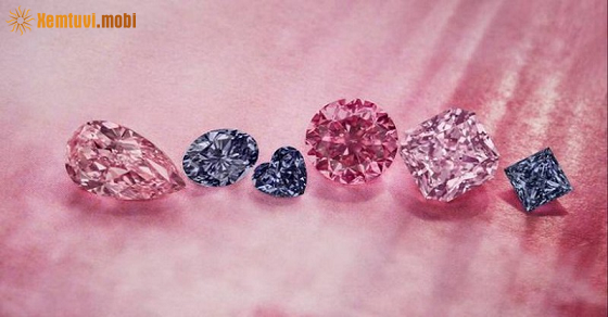 Thứ bảy của 12 con giáp ngày 23/4/2022 Thứ bảy của 12 con giáp ngày 23/4/2022