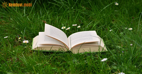 Xem bói ngày 24-4-2022 chủ nhật Xem bói ngày 24-4-2022 chủ nhật