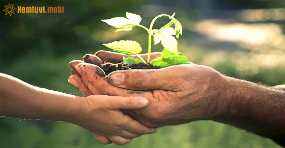 Xem bói ngày 5-5-2022 thứ 5 Xem bói ngày 5-5-2022 thứ 5