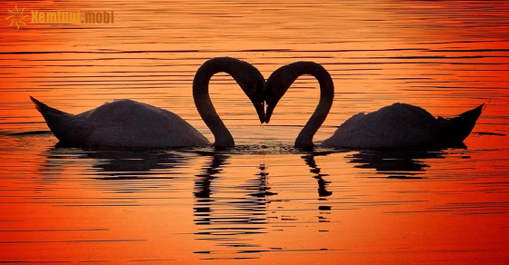 Tử vi chủ nhật của bạn ngày 17-4-2022