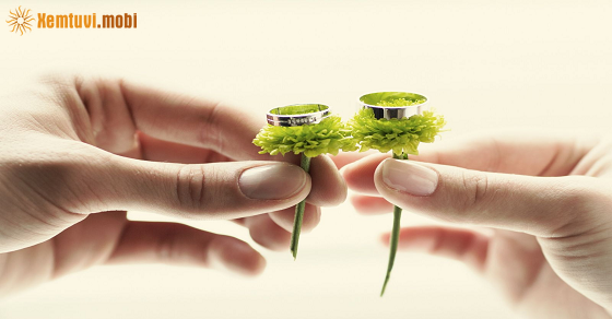 Xem bói 12 con giáp ngày 6.6.2022 thứ 2 Xem bói 12 con giáp ngày 6.6.2022 thứ 2