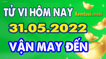 Tử vi 12 con giáp ngày 31/5/2022: Tý suôn sẻ, Mão mất tiền