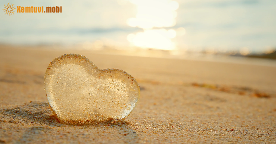 Xem bói của 12 con giáp từ ngày 16/5 đến 22/5/2022 Xem bói của 12 con giáp từ ngày 16/5 đến 22/5/2022