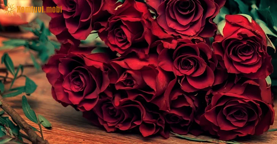 Tử vi chủ nhật của bạn ngày 29-5-2022