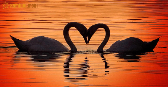 Tử vi thứ 3 của bạn ngày 31-5-2022 Tử vi thứ 3 của bạn ngày 31-5-2022