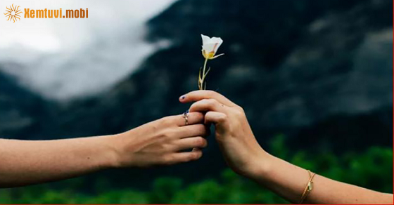 Tử vi thứ 5 của bạn ngày 26-5-2022