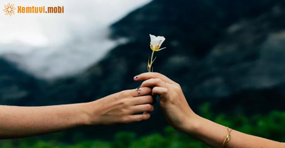 Tử vi thứ 5 của bạn ngày 9-6-2022 Tử vi thứ 5 của bạn ngày 9-6-2022