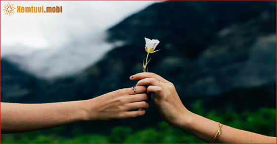 Xem bói 12 con giáp ngày 20.6.2022 thứ 2 Xem bói 12 con giáp ngày 20.6.2022 thứ 2