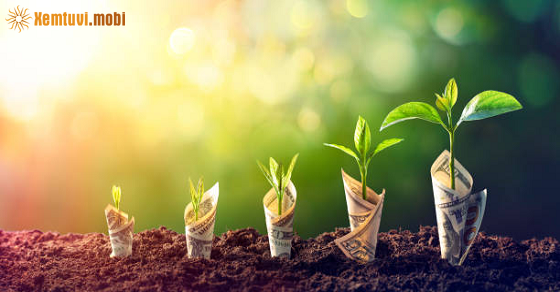 Tuần mới từ 27/6 đến 3/7/2022 của 12 con giáp Tuần mới từ 27/6 đến 3/7/2022 của 12 con giáp