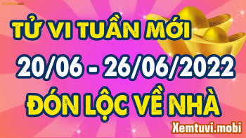 Tử vi tuần mới từ 20/6 - 26/6/2022 của 12 con giáp: Tý kiêu ngạo, Dần ấn tượng