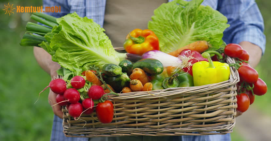 Tử vi ngày 16/6/2022 của 12 cung hoàng đạo