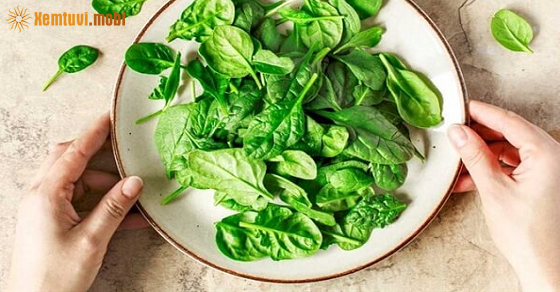 Tử vi ngày 9/7/2022 của 12 cung hoàng đạo