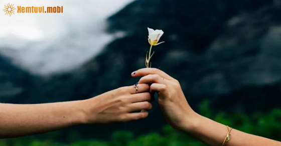 Tử vi thứ 6 của bạn ngày 24-6-2022 Tử vi thứ 6 của bạn ngày 24-6-2022