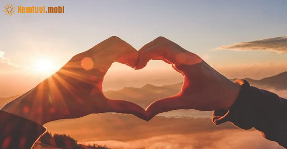 Tử vi ngày 4/8/2022 của 12 cung hoàng đạo Tử vi ngày 4/8/2022 của 12 cung hoàng đạo