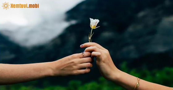 Tử vi ngày 30/7/2022 của 12 cung hoàng đạo