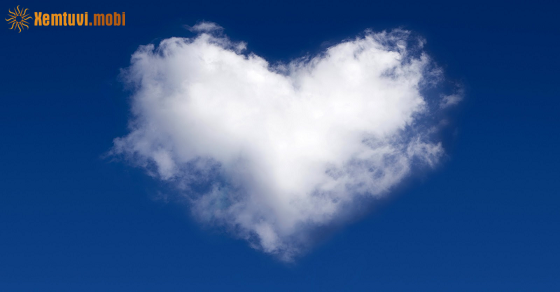 Xem bói 12 con giáp ngày 19.8.2022 thứ 6 Xem bói 12 con giáp ngày 19.8.2022 thứ 6