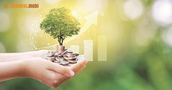 Thứ năm của 12 con giáp ngày 24/8/2022 Thứ năm của 12 con giáp ngày 24/8/2022