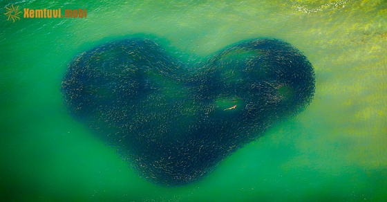 Xem bói 12 con giáp ngày 27.8.2022 thứ bảy Xem bói 12 con giáp ngày 27.8.2022 thứ bảy