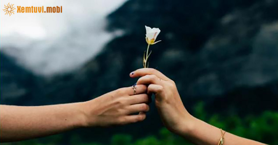 Tử vi tuần mới 12 cung hoàng đạo 8/8 đến 14/8/2022